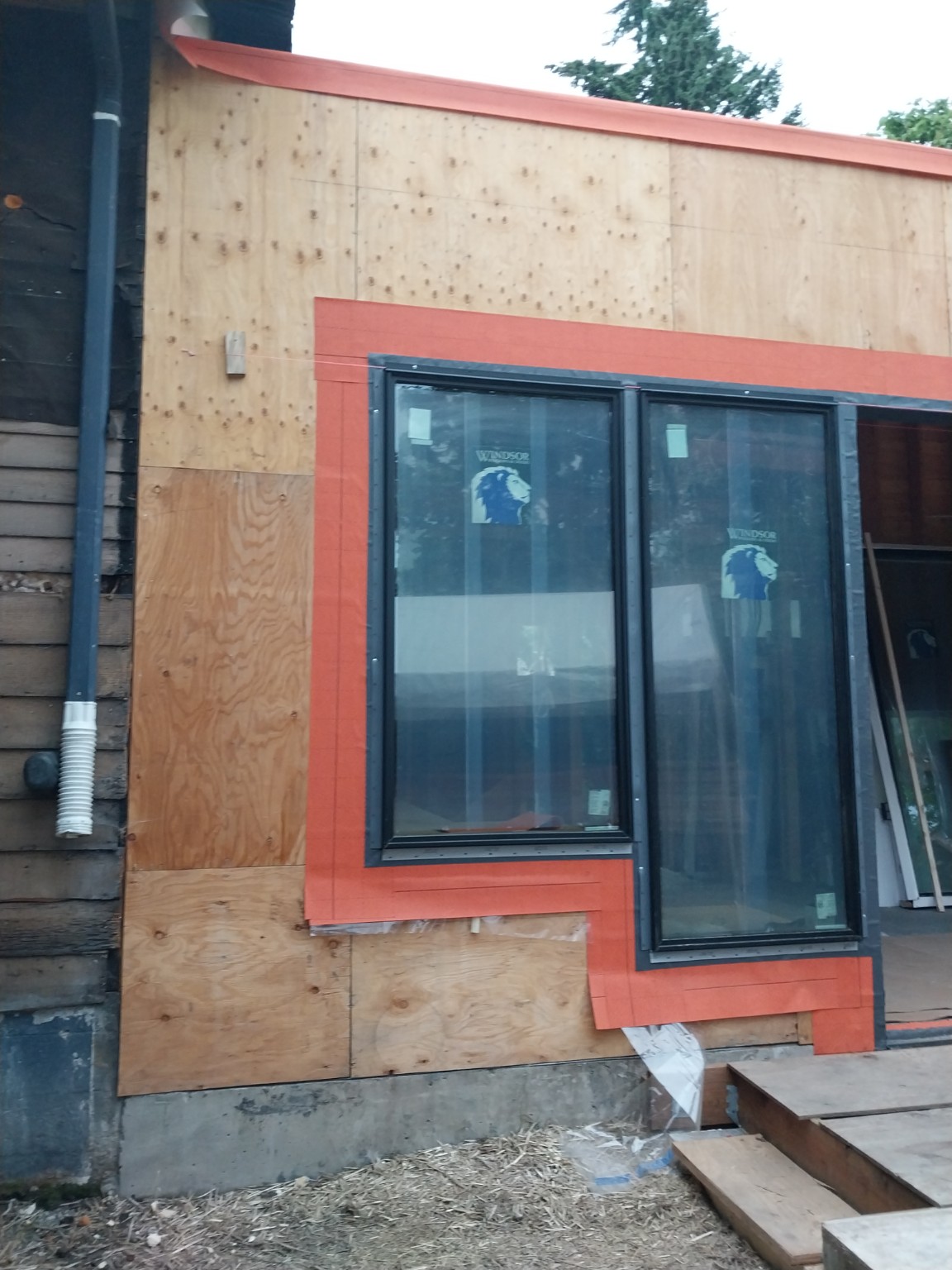 Two tall black-framed windows installed in a wall with exposed sheathing